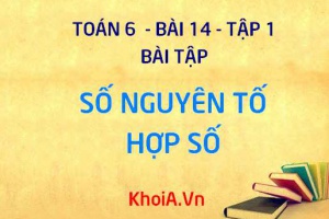 Bài tập Số nguyên tố, Hợp số cơ bản - Toán 6 bài 14 tập 1